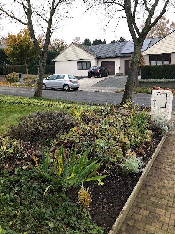 Foto van Dylan Green Garden
