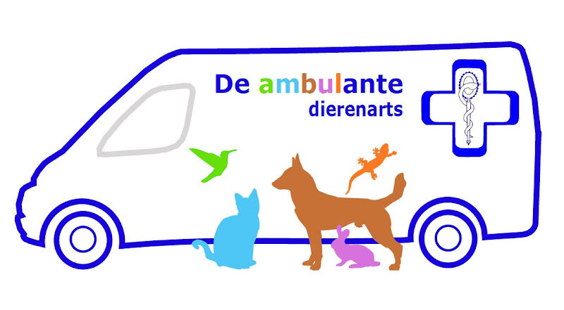 Foto van De ambulante dierenarts