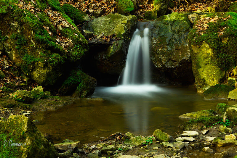 Foto van Cours Photo Woluwe