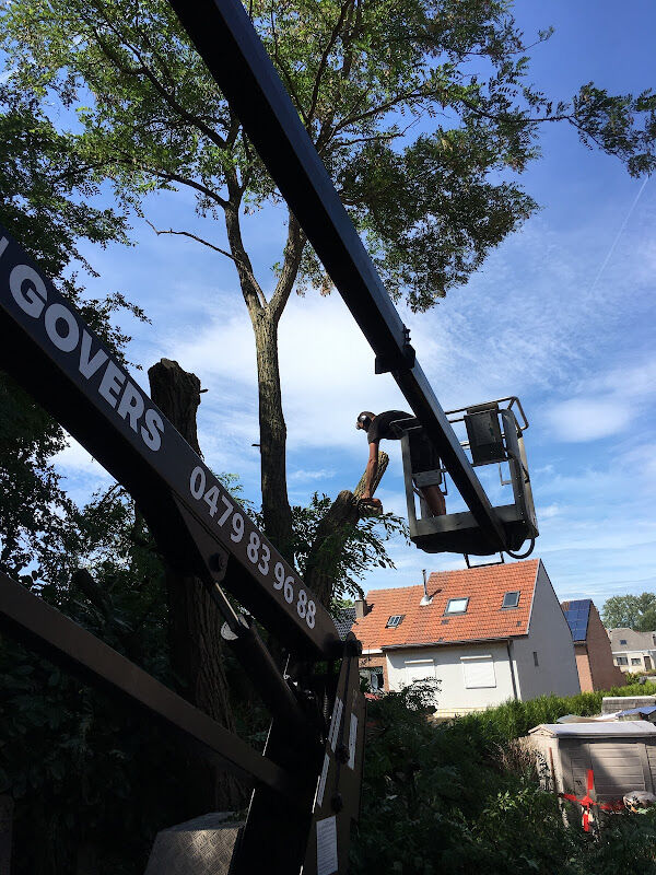 Foto van Tuinen Govers