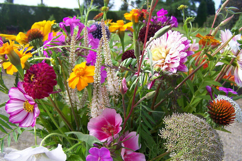 Foto van De Pluktuin