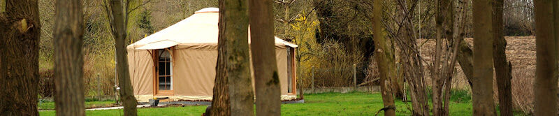 Foto van For People on the Move- Centrum voor Embodied Coachen