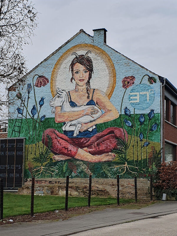 Foto van 37 graden