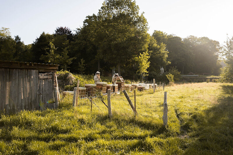 Foto van Geoffrey Eraerts
