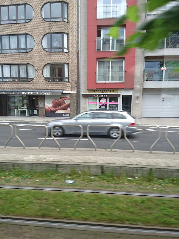 Foto van Moyart bvba