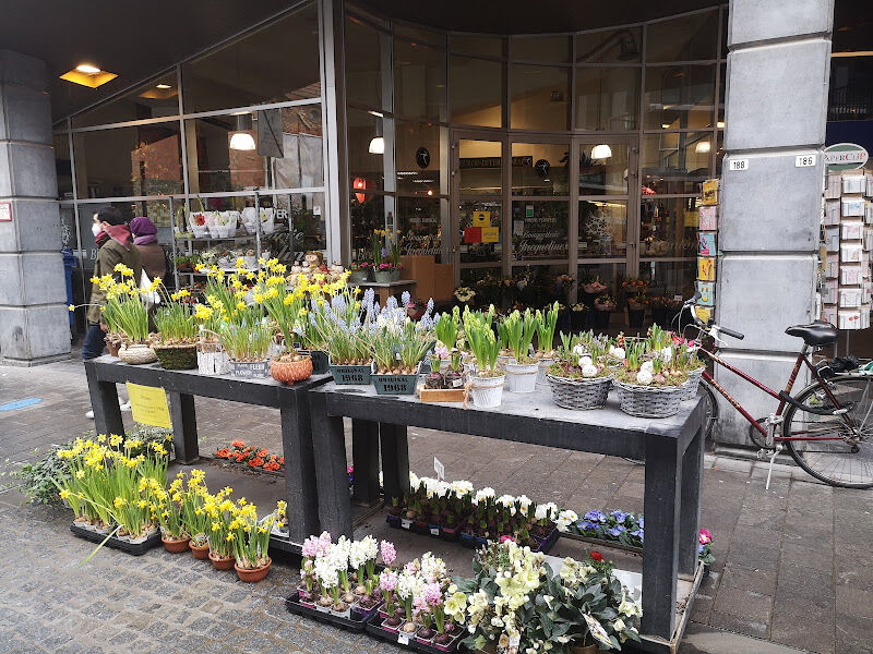 Foto van Moens Flowers Leuven