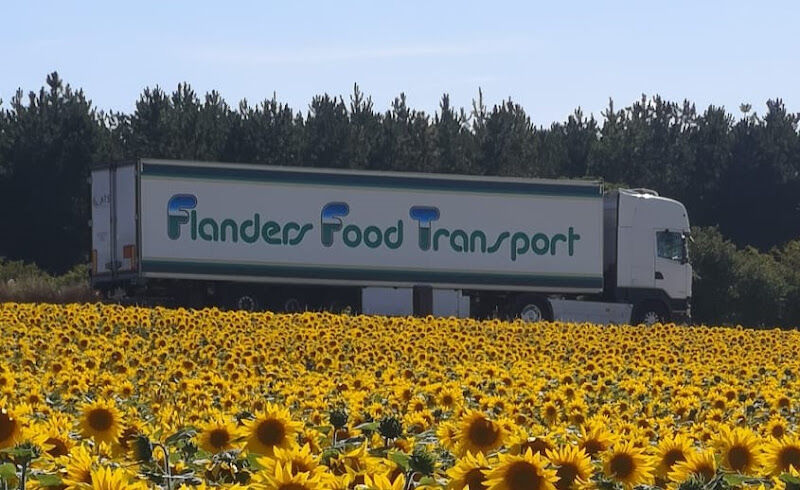 Foto van Daltrans