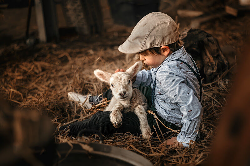 Foto van Elke Reggers Fotografie