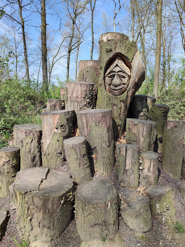 Foto van 't Wonderbos
