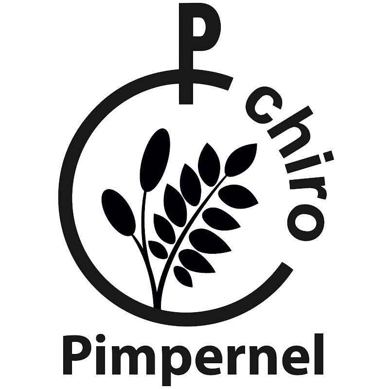 Foto van Chiro Pimpernel Vleteren