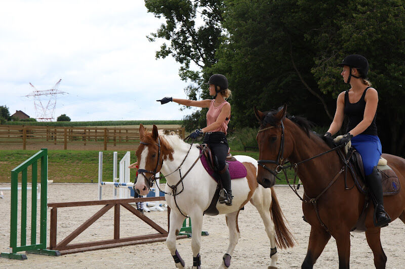 Foto van Equi-B