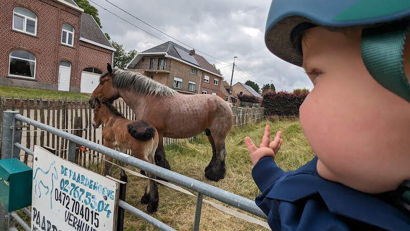 Foto van De Paardehoeve