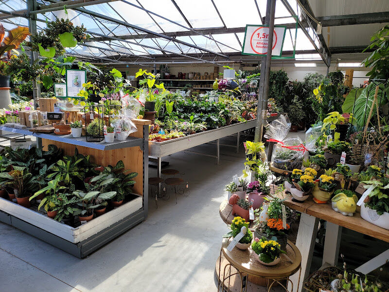 Foto van Botanica