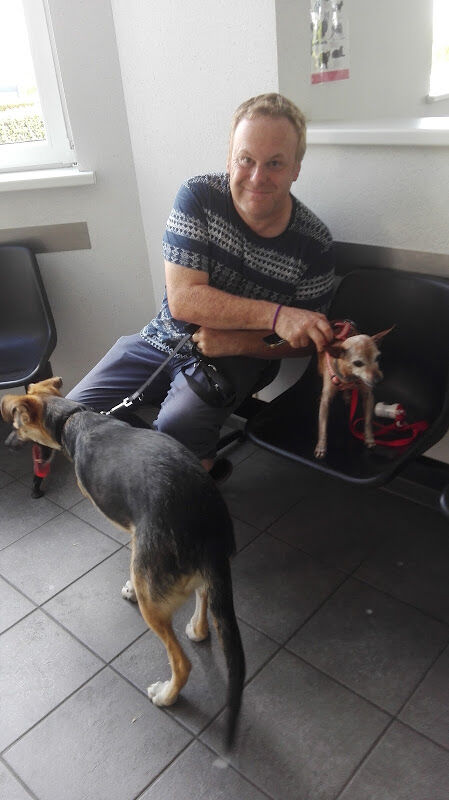 Foto van AniCura Dierenkliniek De Vliet