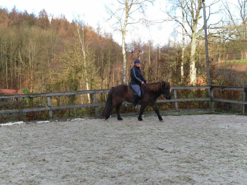 Foto van My Fancy Horse!