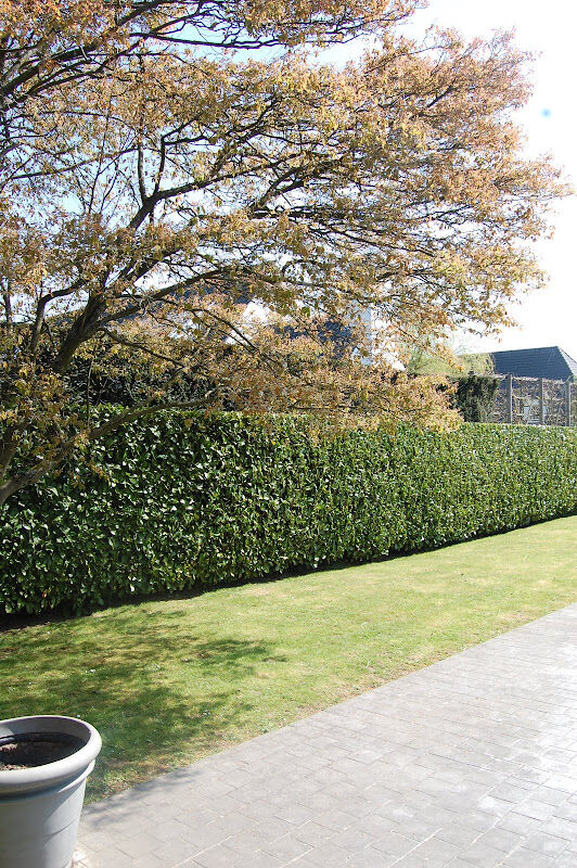 Foto van Arcadia Garden - jardinier paysagiste