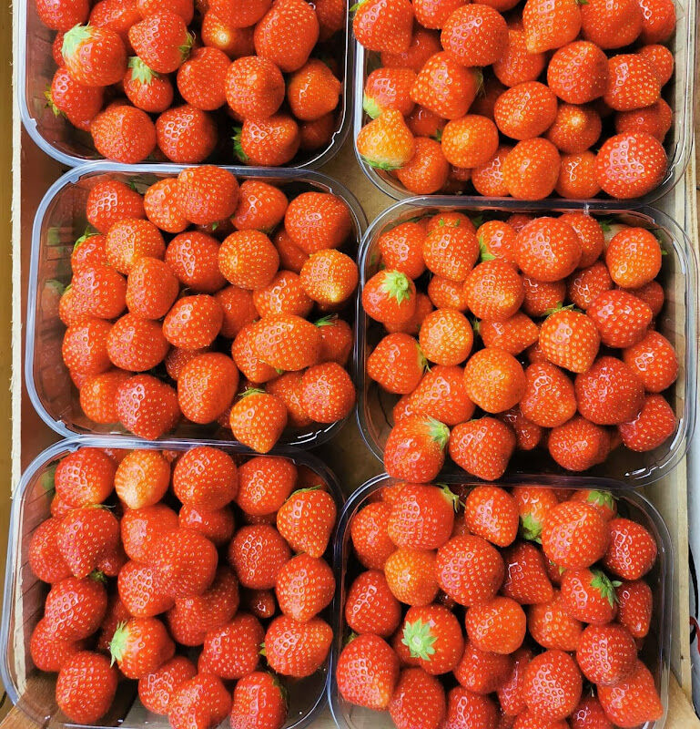 Foto van Aardbeienautomaat De Paep Sint-Gillis-Waas