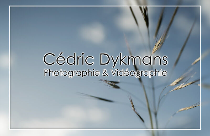 Foto van Cédric Dykmans Photographe & Vidéographe