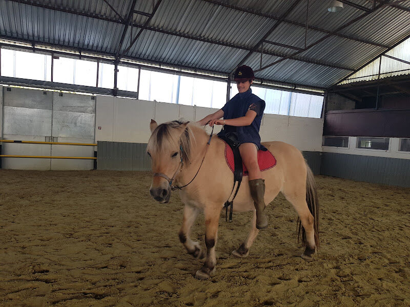 Foto van Paardenmanège - hypotherapie