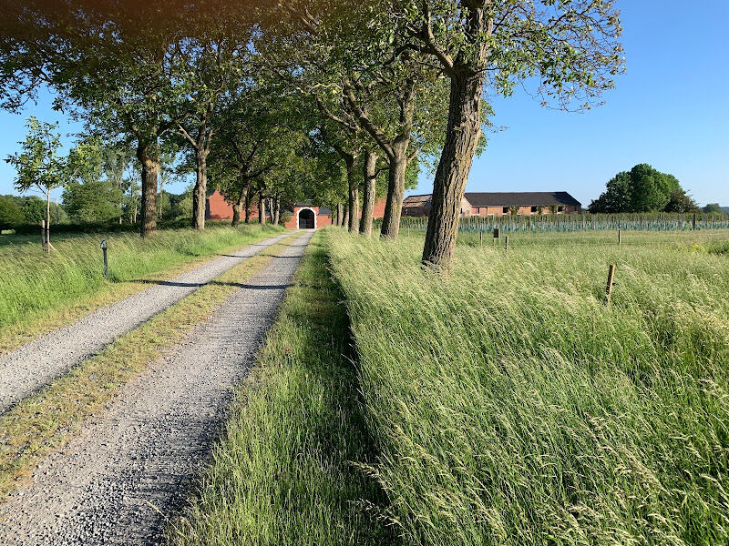 Foto van Praktijk voor Psychotherapie Nieuwland