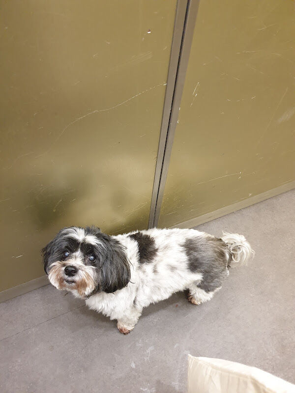 Foto van Graf / Philippe