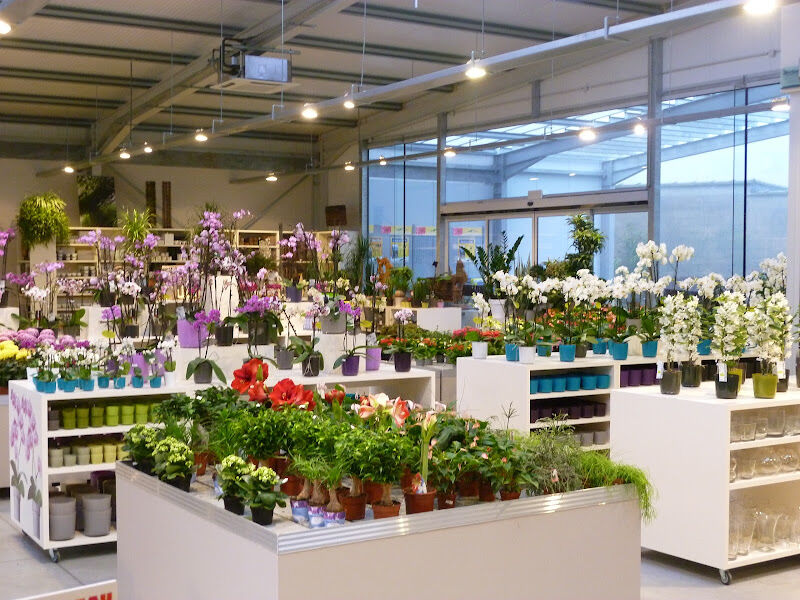 Foto van Canters Nico Flowers & Plants