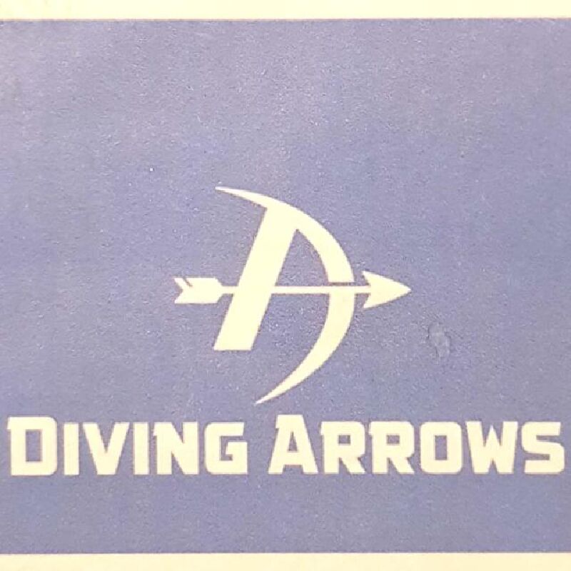 Foto van Diving Arrows
