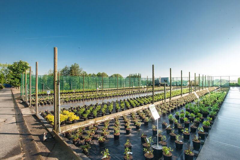 Foto van Tuincenter Mol - Werbrouck / Tuinen Mol Bvba