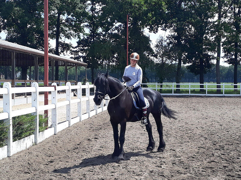 Foto van Pinto Ranch