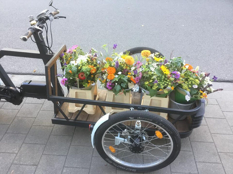 Foto van DE PLANTENBUTLER