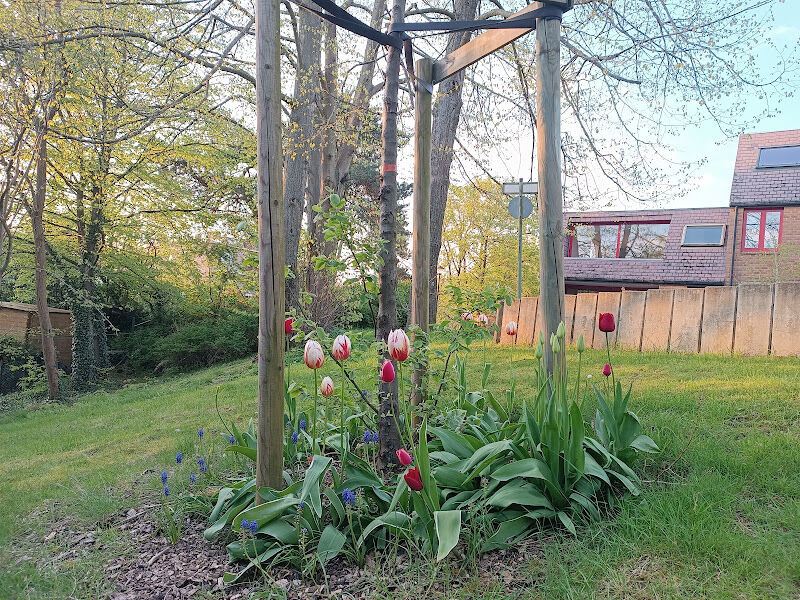 Foto van Speeltuin Musambira