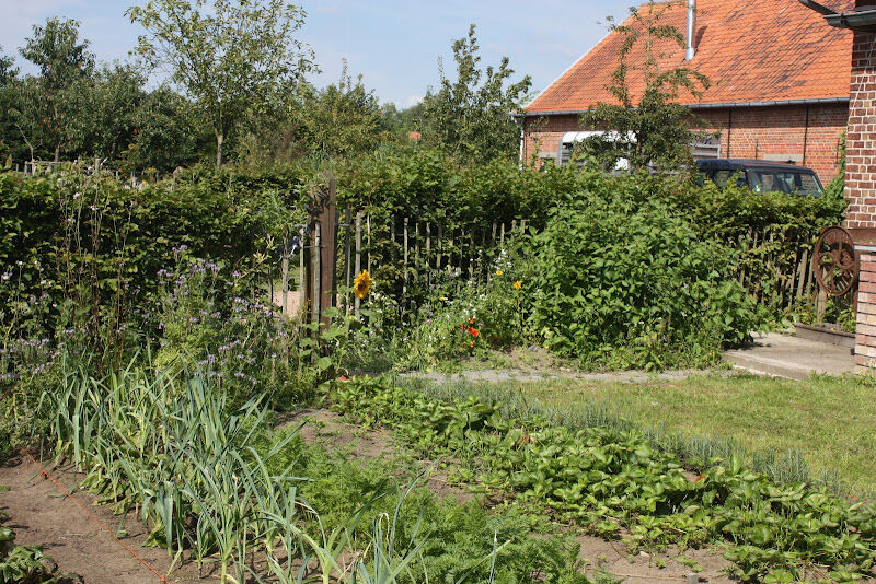 Foto van KiemKracht Natuurploegen Pajottenland en Zennevallei