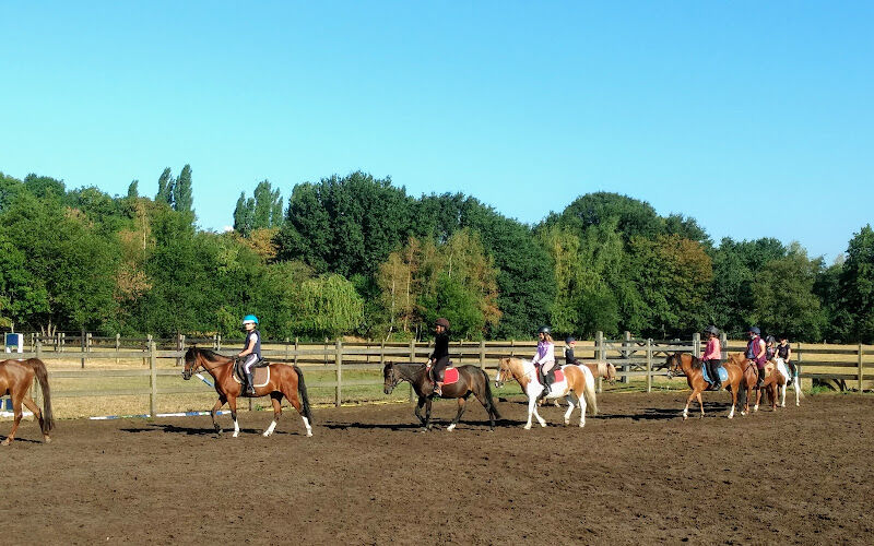 Foto van De Ponyhoeve Turnhout vzw