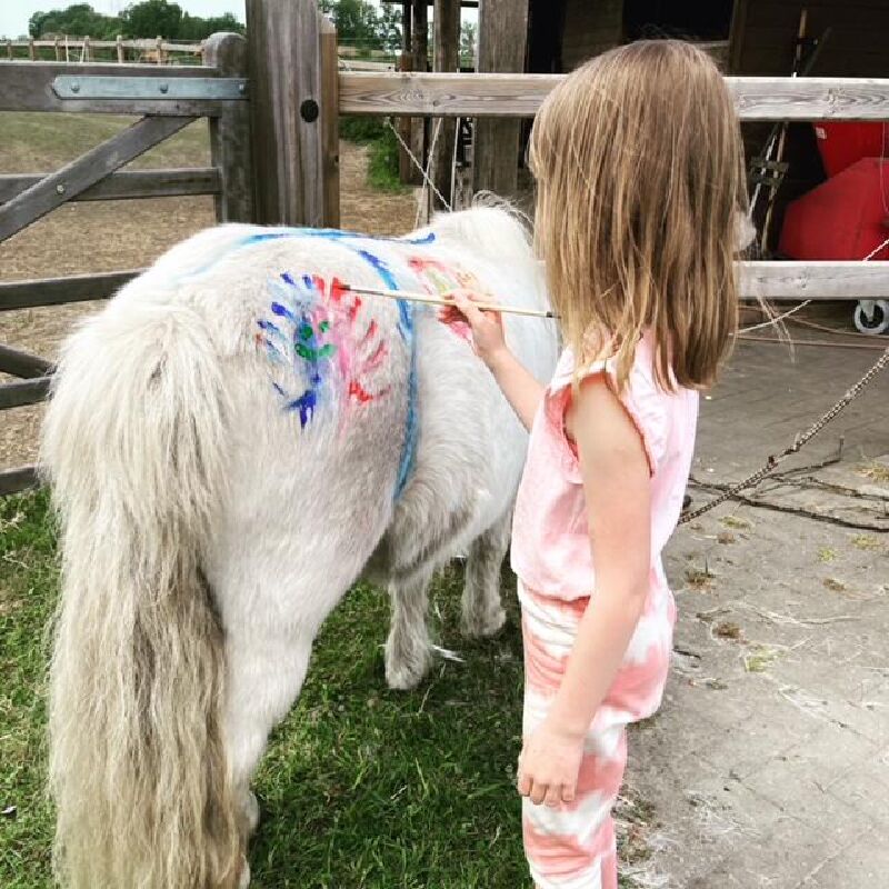 Foto van Horse Vibes
