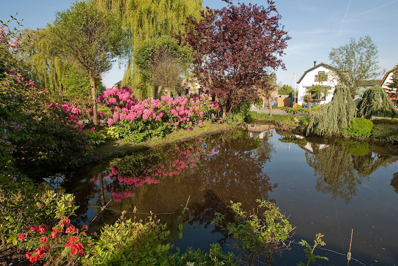Foto van Boom Hoveniersbedrijf