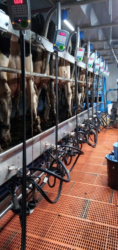 Foto van Hoevewinkel Ter Overlaar