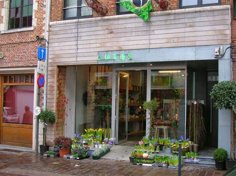 Foto van Bloemen Lotus
