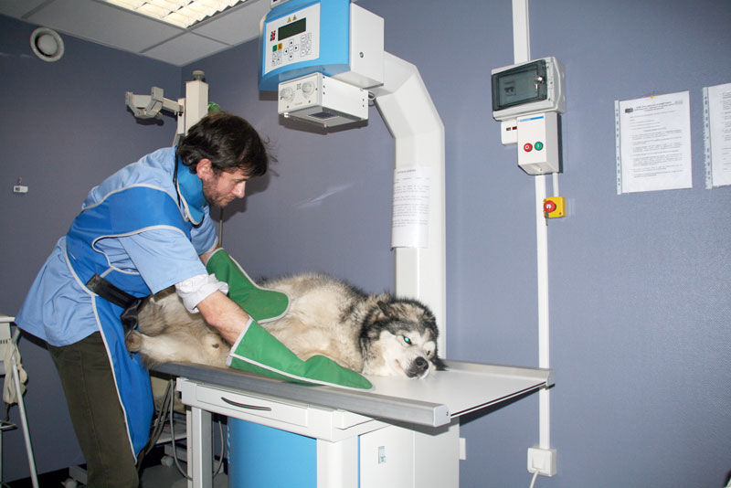 Foto van Gambetta Veterinary Clinic