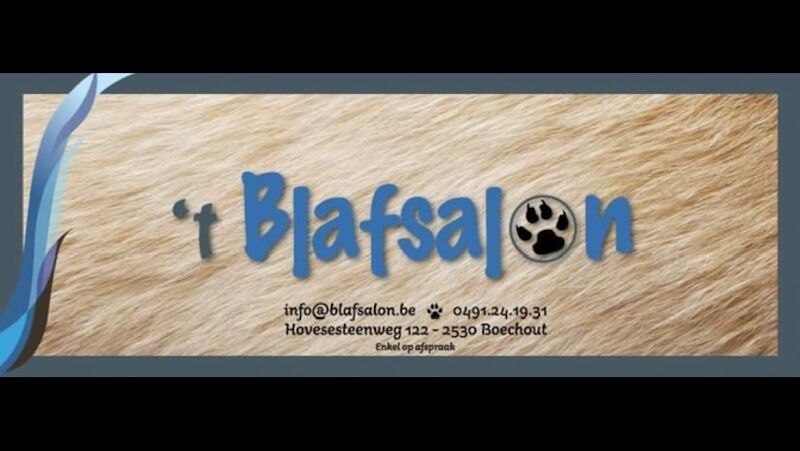 Foto van Hondenkapsalon 't Blafsalon