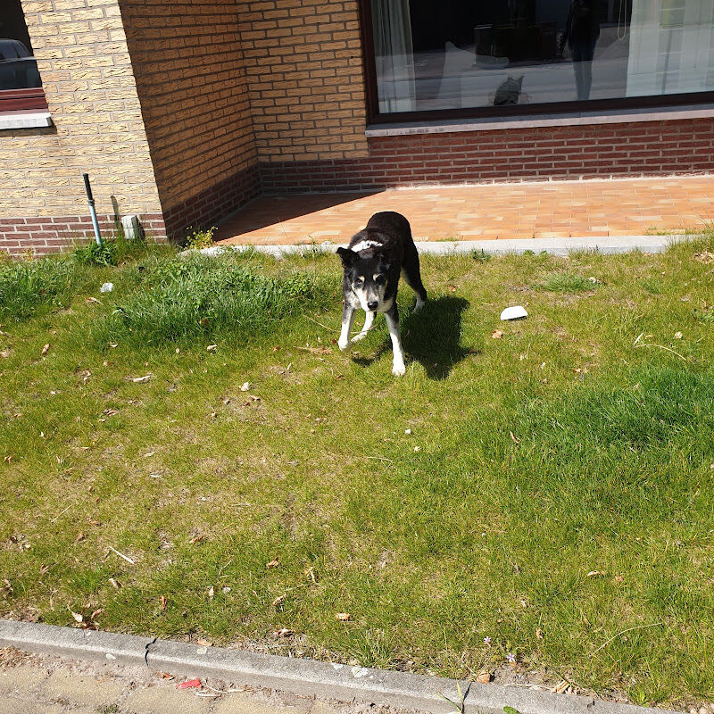 Foto van Dierenarts Greet Pouders