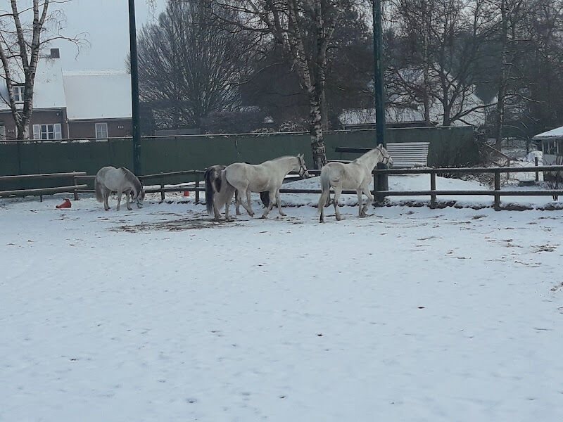 Foto van Centre Equestre de la Ferme Rosier