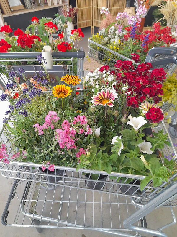 Foto van Mini Garden aanleg en onderhoud van tuinen