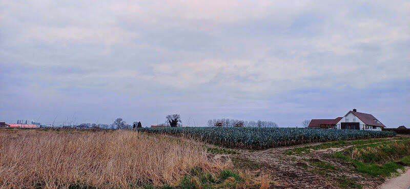 Foto van Sharon Lannoo