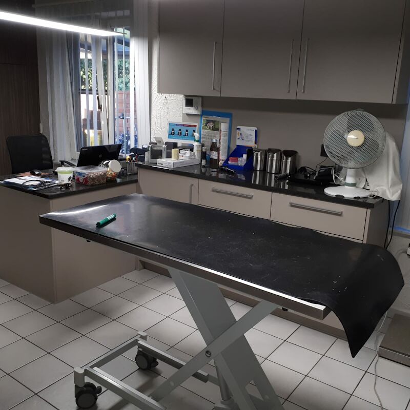 Foto van Dierenartspraktijk 't Stokt BV