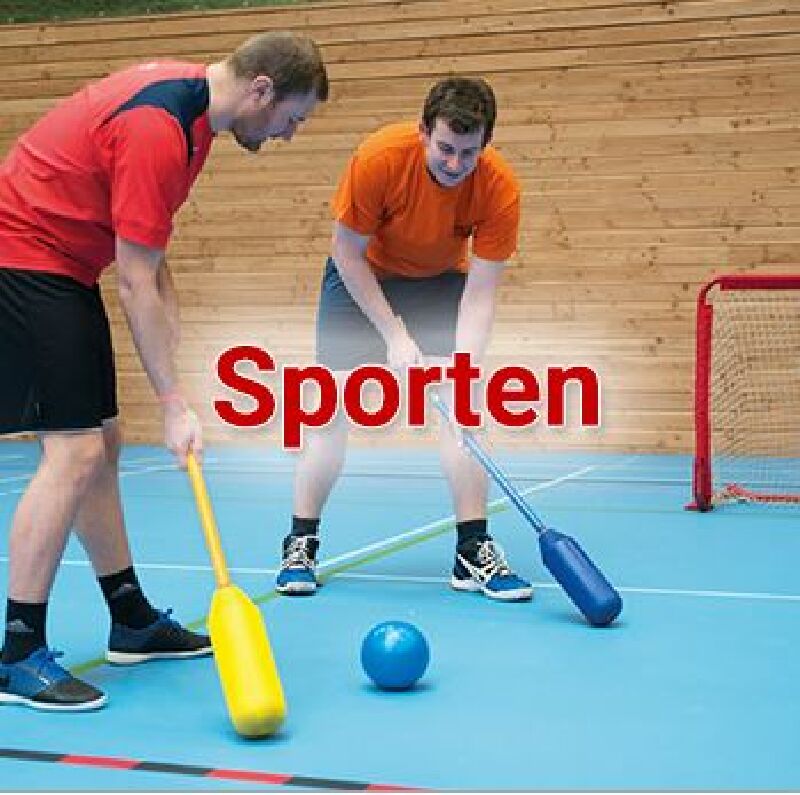 Foto van BSD bv Sport en Spel