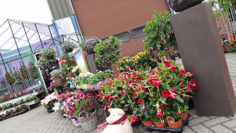 Foto van Cactus Marob bvba