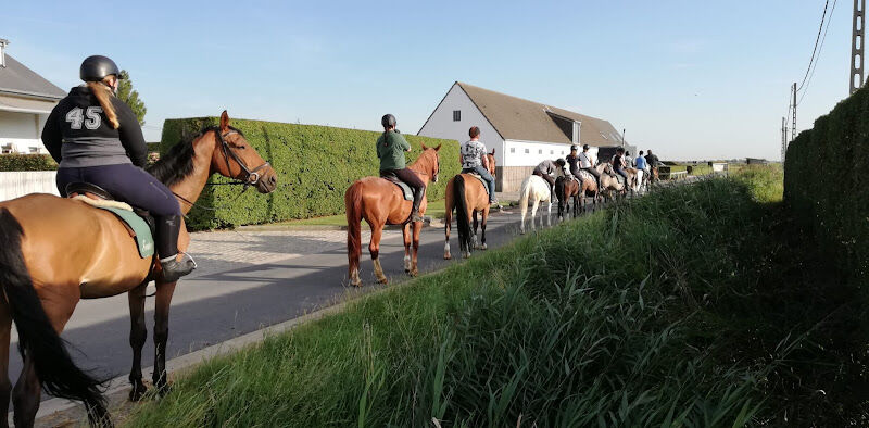 Foto van Sanders Manège