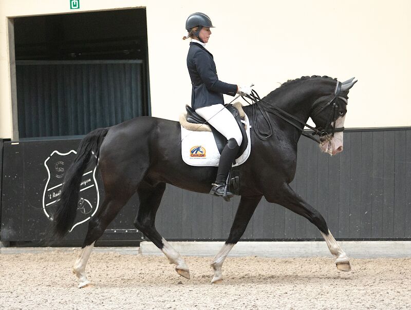 Foto van Russel Liesbeth