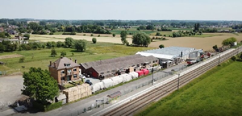 Foto van D'Hont Houtimport