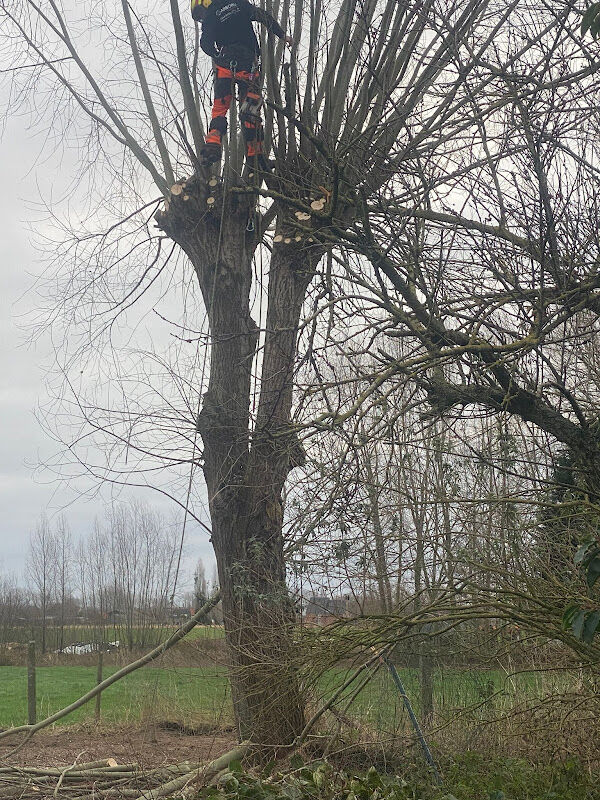 Foto van Tuinservice Van Hauwermeiren